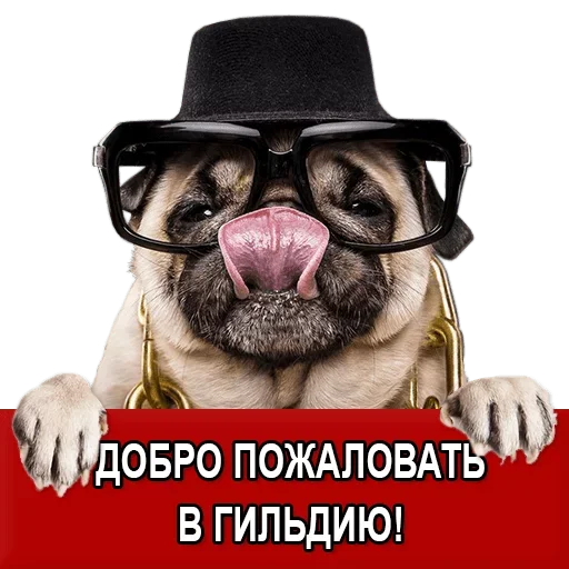 Sticker Добиваем Фазу