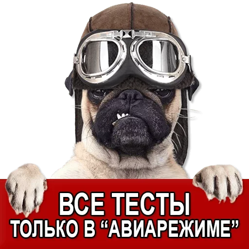 Sticker from the "Добиваем Фазу" sticker pack