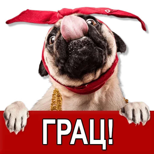 Sticker from the "Добиваем Фазу" sticker pack