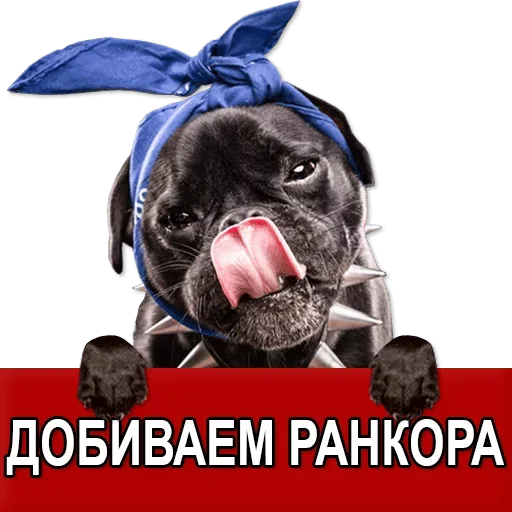 Sticker Добиваем Фазу