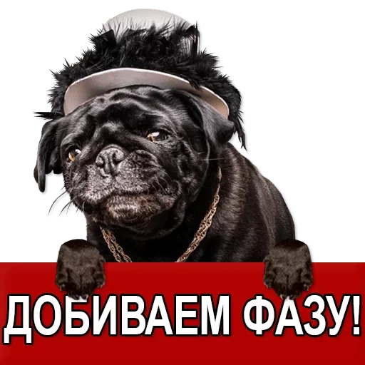 Sticker Добиваем Фазу