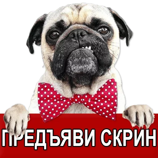 Sticker Добиваем Фазу