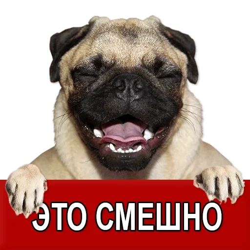 Sticker from the "Добиваем Фазу" sticker pack