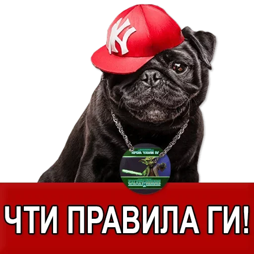 Sticker from the "Добиваем Фазу" sticker pack