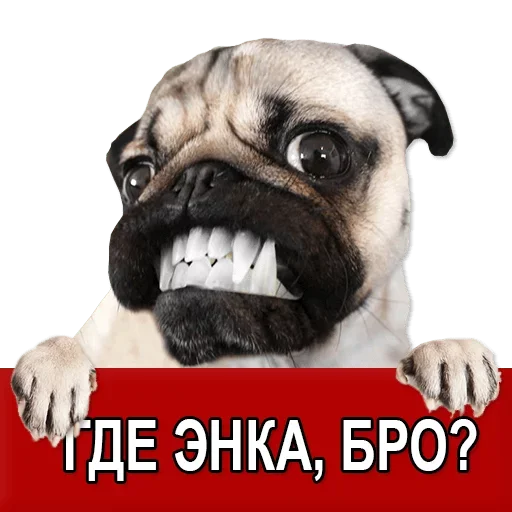 Sticker Добиваем Фазу