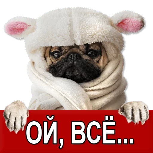 Sticker Добиваем Фазу