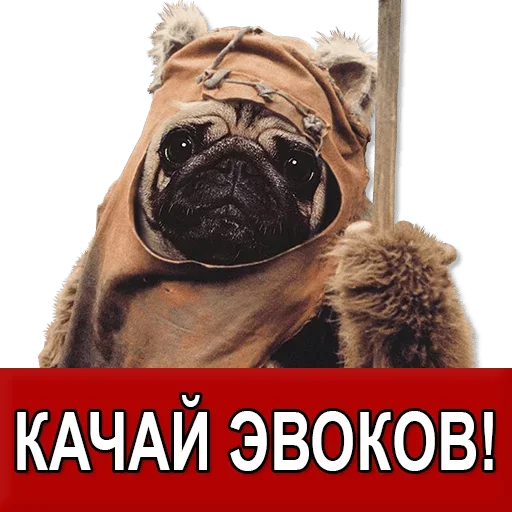 Sticker from the "Добиваем Фазу" sticker pack