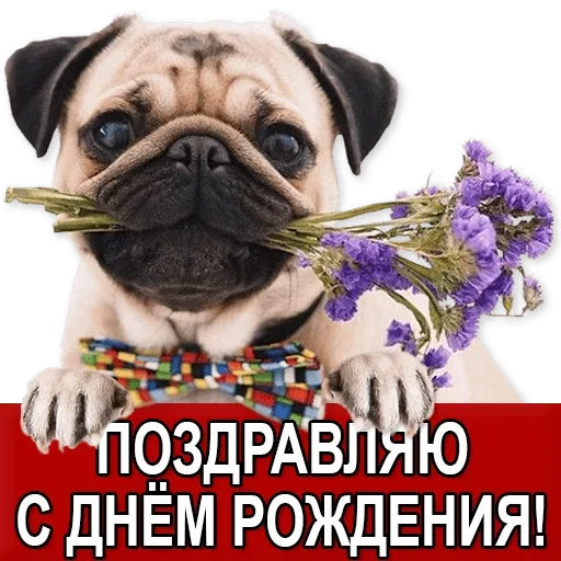 Sticker from the "Добиваем Фазу" sticker pack