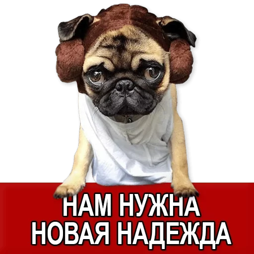 Sticker Добиваем Фазу