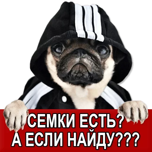 Sticker from the "Добиваем Фазу" sticker pack