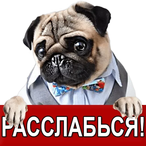 Sticker from the "Добиваем Фазу" sticker pack