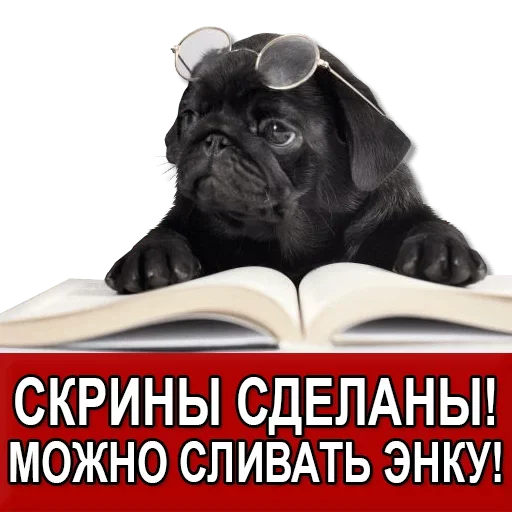 Sticker Добиваем Фазу