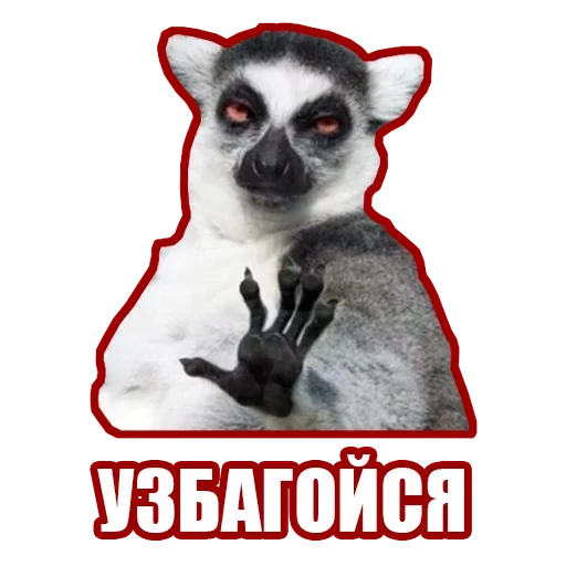 Sticker from the "Рандомные мемы и пупы" sticker pack