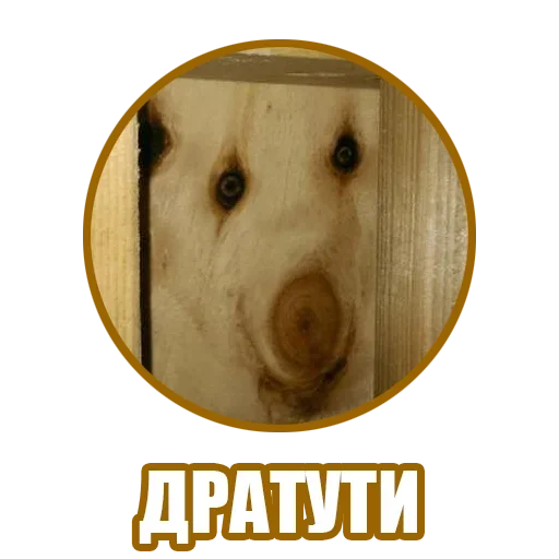 Sticker from the "Рандомные мемы и пупы" sticker pack