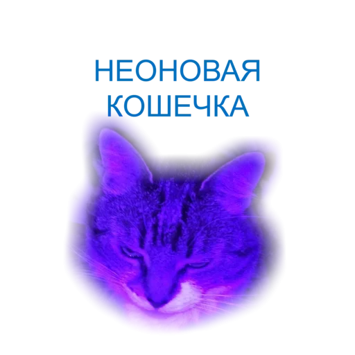 Sticker from the "Неоновая Котейки" sticker pack