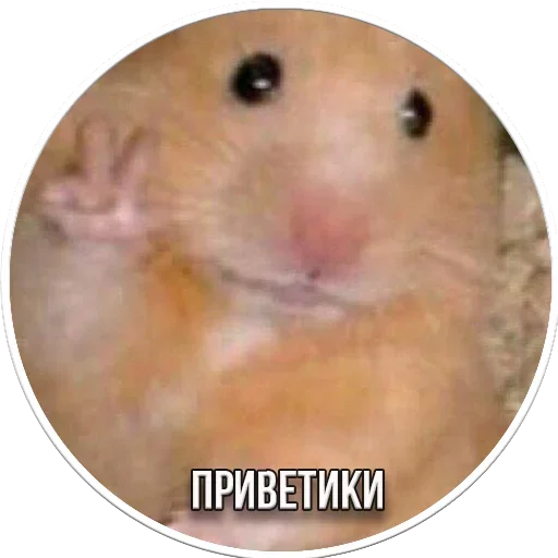 Sticker from the "Период Полураспада Урана" sticker pack