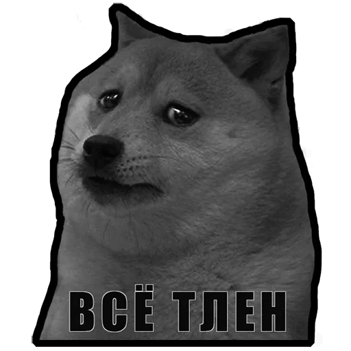 Sticker from the "СОВОкупление" sticker pack