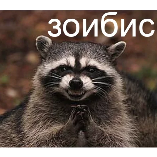 Sticker from the "Совсем ебобо что ли" sticker pack