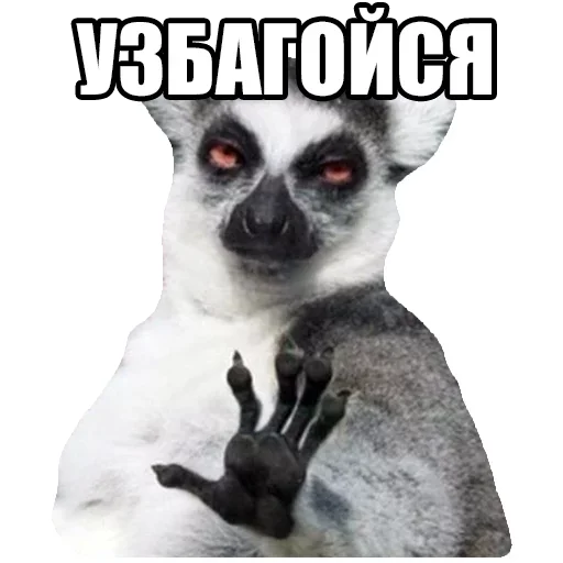 Sticker Твой сасай