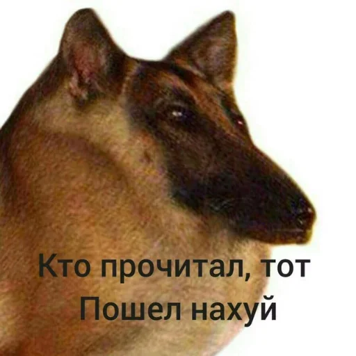 Sticker from the "Увернулся от бана" sticker pack