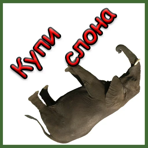 Sticker from the "Это было в Симпсонах" sticker pack