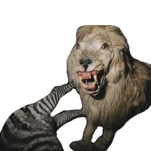 Sticker from the "Taxidermy" sticker pack