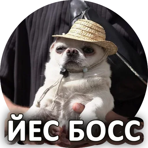 Sticker from the "За мат извини" sticker pack