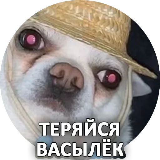 Sticker from the "За мат извини" sticker pack