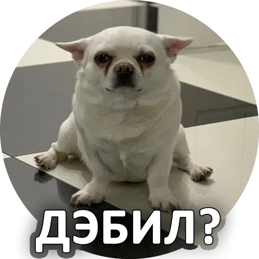 Sticker from the "За мат извини" sticker pack