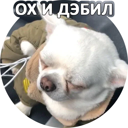 Sticker from the "За мат извини" sticker pack