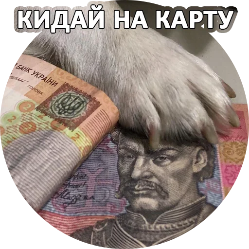 Sticker from the "За мат извини" sticker pack