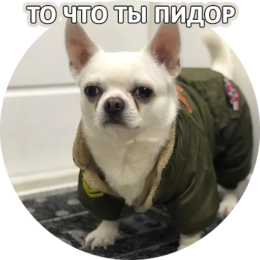 Sticker За мат извини