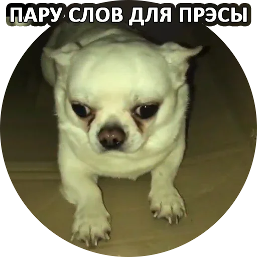 Sticker from the "За мат извини" sticker pack