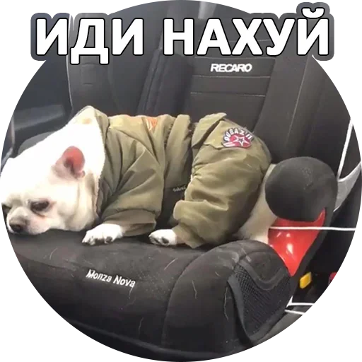 Sticker from the "За мат извини" sticker pack