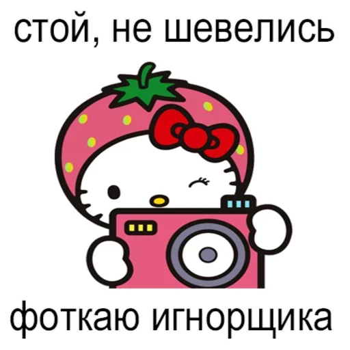 Стикер из набора "Фоткаю Игнорщика"