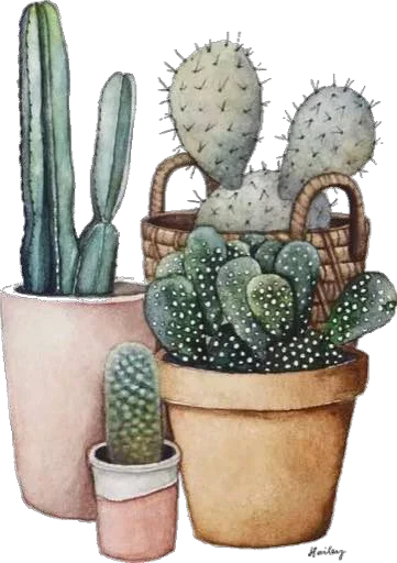 Стикер из набора "Green Cactus"