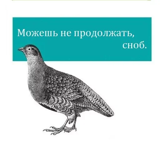 Стикер из набора "Bookshelf Memes"