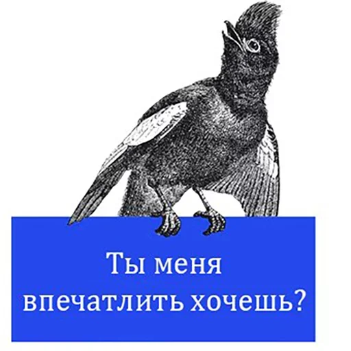 Стикер из набора "Bookshelf Memes"