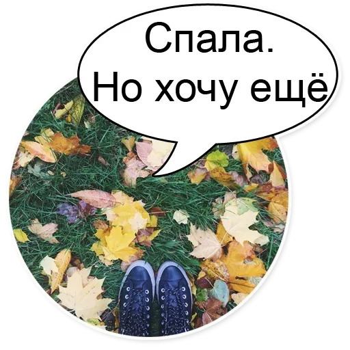 Sticker from the "Очень Нужный Пак" sticker pack