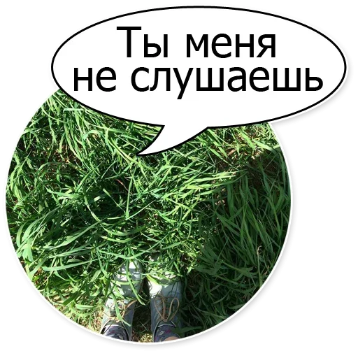 Sticker from the "Очень Нужный Пак" sticker pack