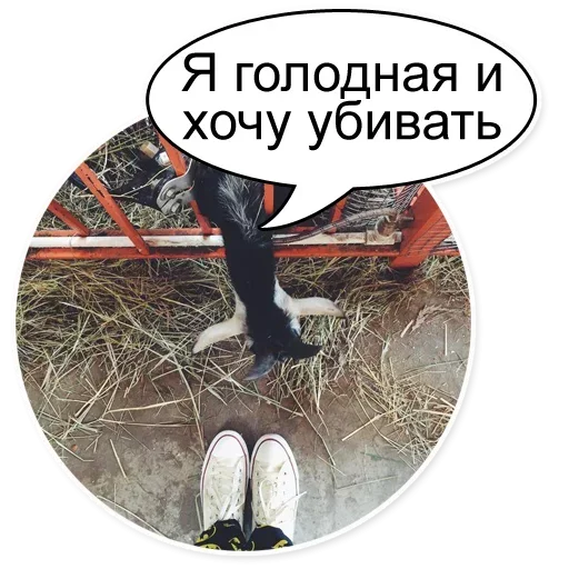 Sticker from the "Очень Нужный Пак" sticker pack