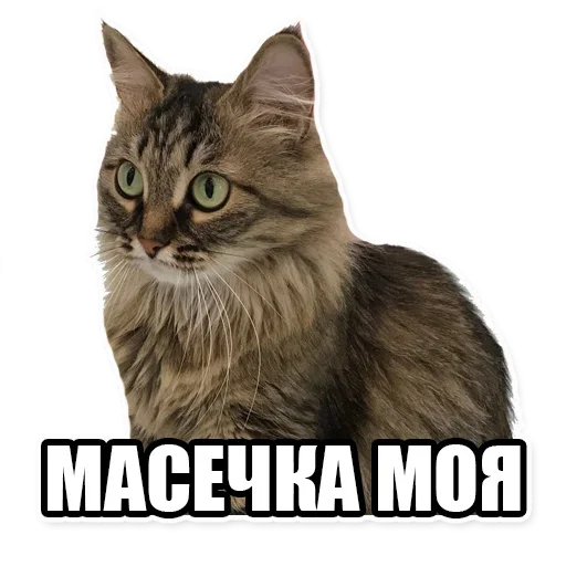 Sticker from the "Мама отличника" sticker pack