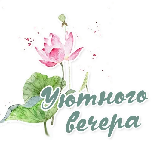 Sticker Пожелания