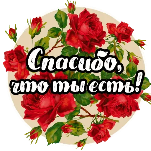 Sticker from the "Добро и радость" sticker pack