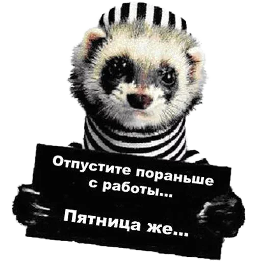 Sticker from the "Пятница" sticker pack