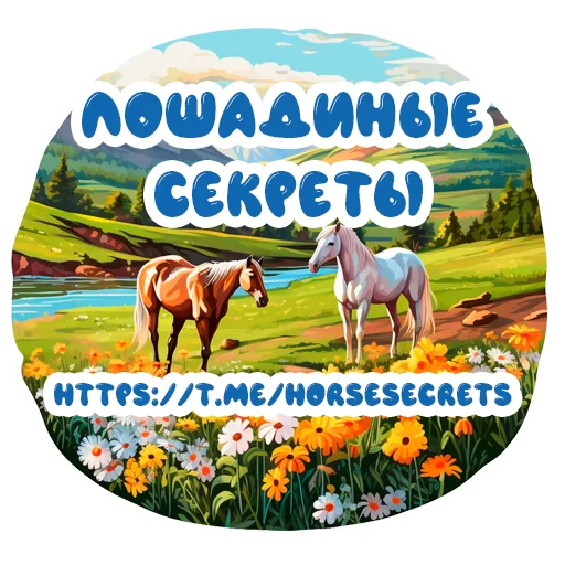 Sticker from the "Horse Secrets" sticker pack