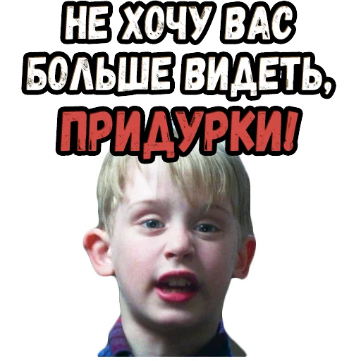 Sticker from the "Один дома" sticker pack