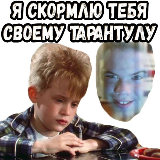 Sticker from the "Один дома" sticker pack