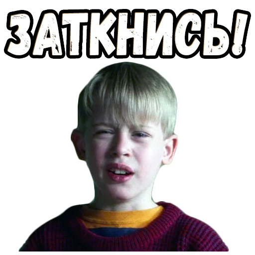 Sticker from the "Один дома" sticker pack