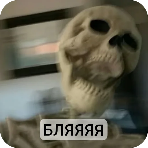 Sticker from the "Господа скелеты" sticker pack